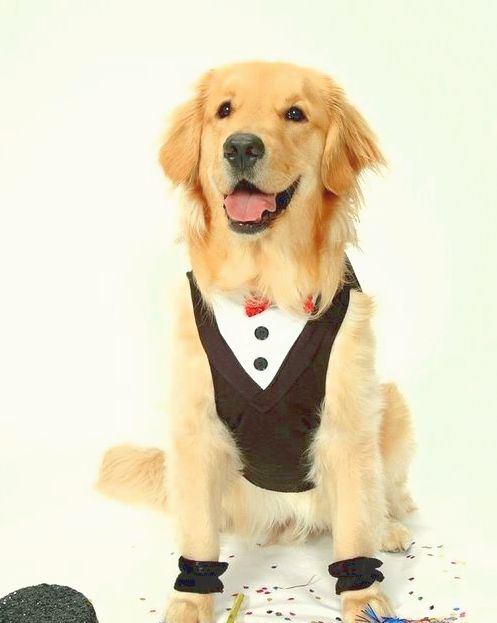 נערות ליווי בחיפה, צפון בחורה נהדרת להעביר את הלילה באיזה צימר באיזור חיפה… ***-******* חדשה VIP נסטיה – בחיפה והקריות נערות ליווי בחיפה, צפון הצעירה הכי מטריפה תעביר איתך שעות של פינוקים. בחורה… ***-******* חדשה VIP ירדן חיפה והקריות נערות ליווי בחיפה, צפון רוסיה סקסית רוסייה חושנית תעביר איתך שעה או יותר… ***-******* חדשה VIP