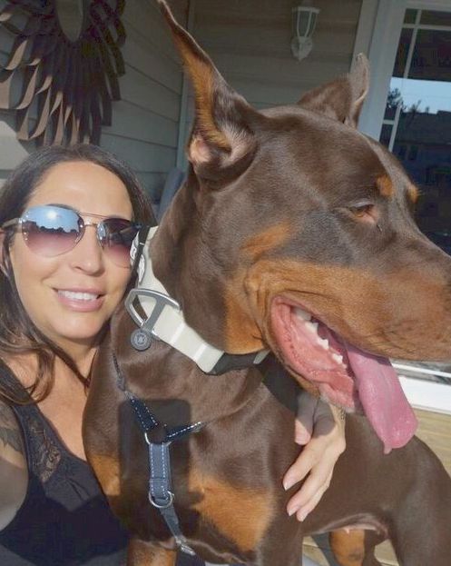 דירות דיסקרטיות בחיפה - בחורות סקסיות וחרמניות מחכות לפגוש אותך. היכנס לאתר וצפה במבחר דירות דיסקרטיות בחיפה לחוויה אינטימית וסוערת. ... , נערות ליווי, דירות דיסקרטיות ועיסוי ...